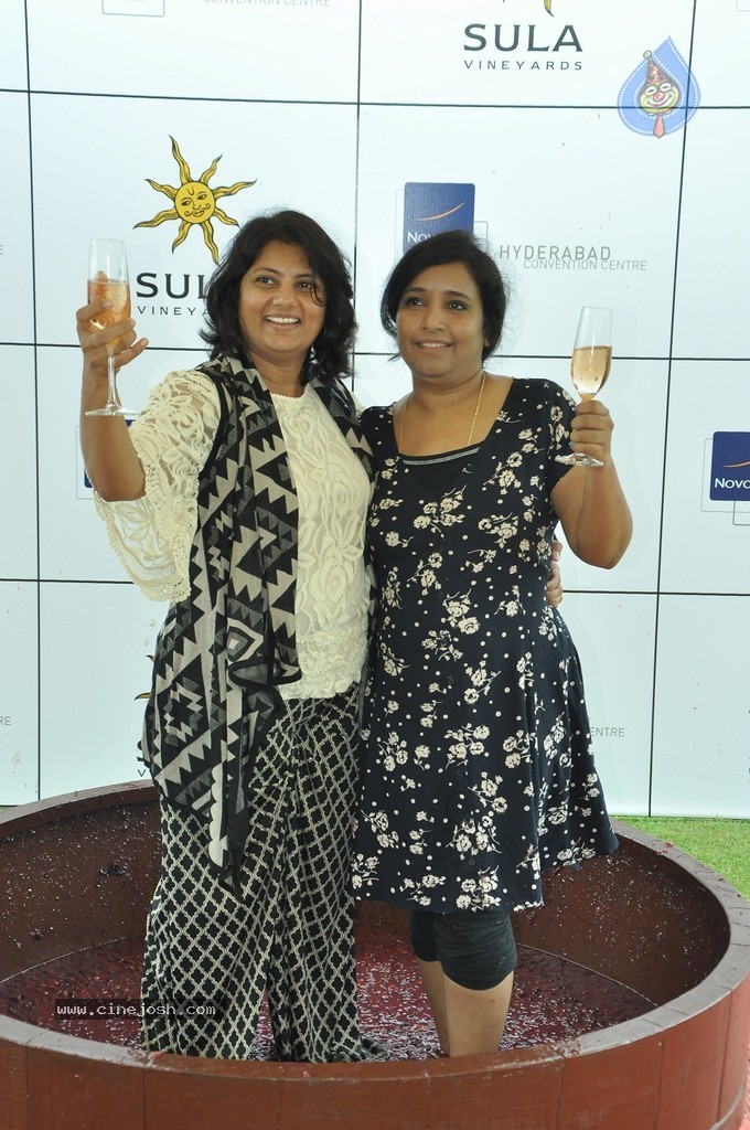 Grape Stomping Brunch Celebrations - 21 / 52 photos