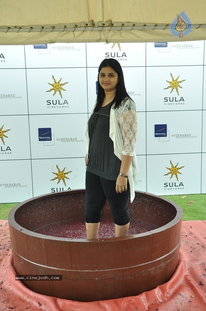 Grape Stomping Brunch Celebrations - 22 / 52 photos