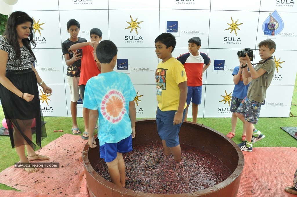 Grape Stomping Brunch Celebrations - 24 / 52 photos