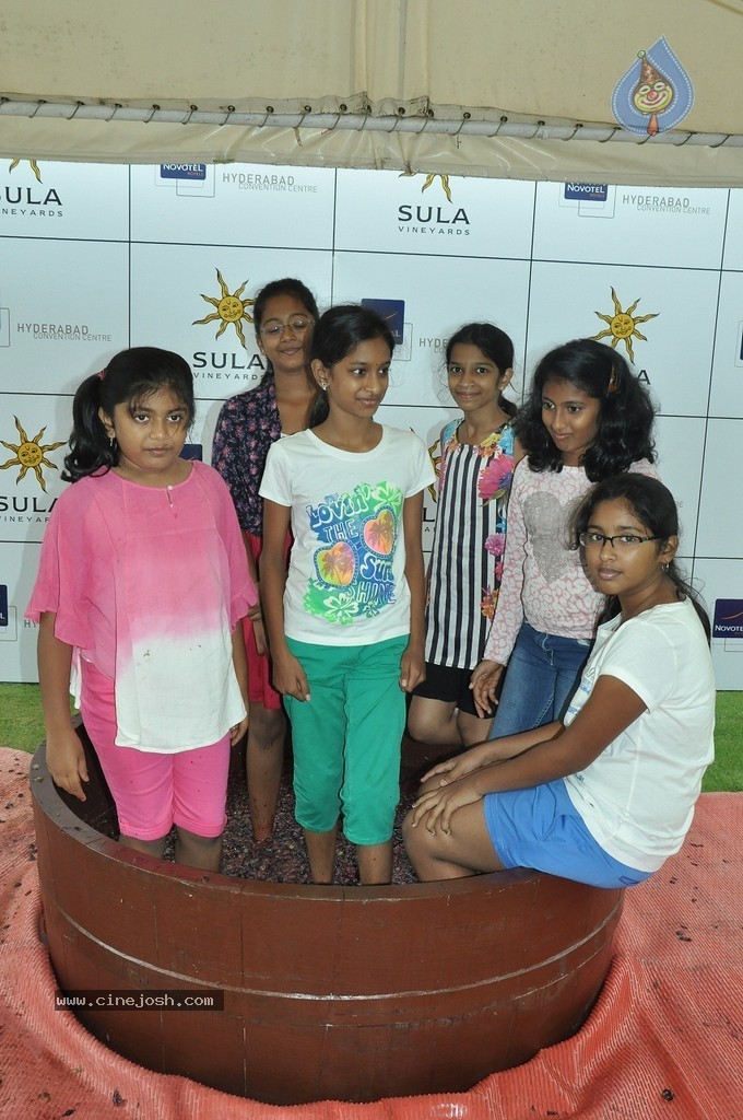 Grape Stomping Brunch Celebrations - 30 / 52 photos