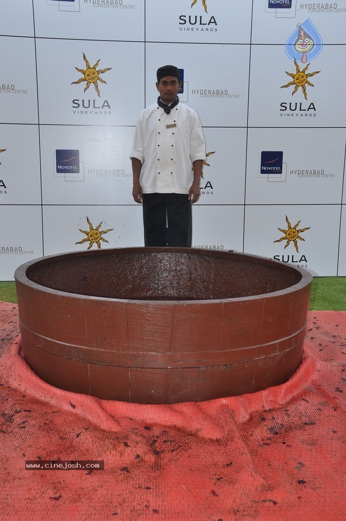 Grape Stomping Brunch Celebrations - 40 / 52 photos