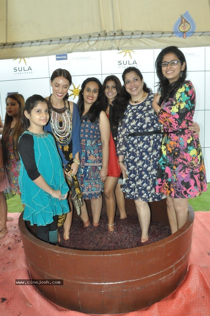 Grape Stomping Brunch Celebrations - 43 / 52 photos