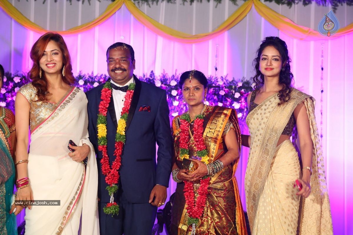 Harinath - Krishnaveni Wedding Reception - 5 / 151 photos
