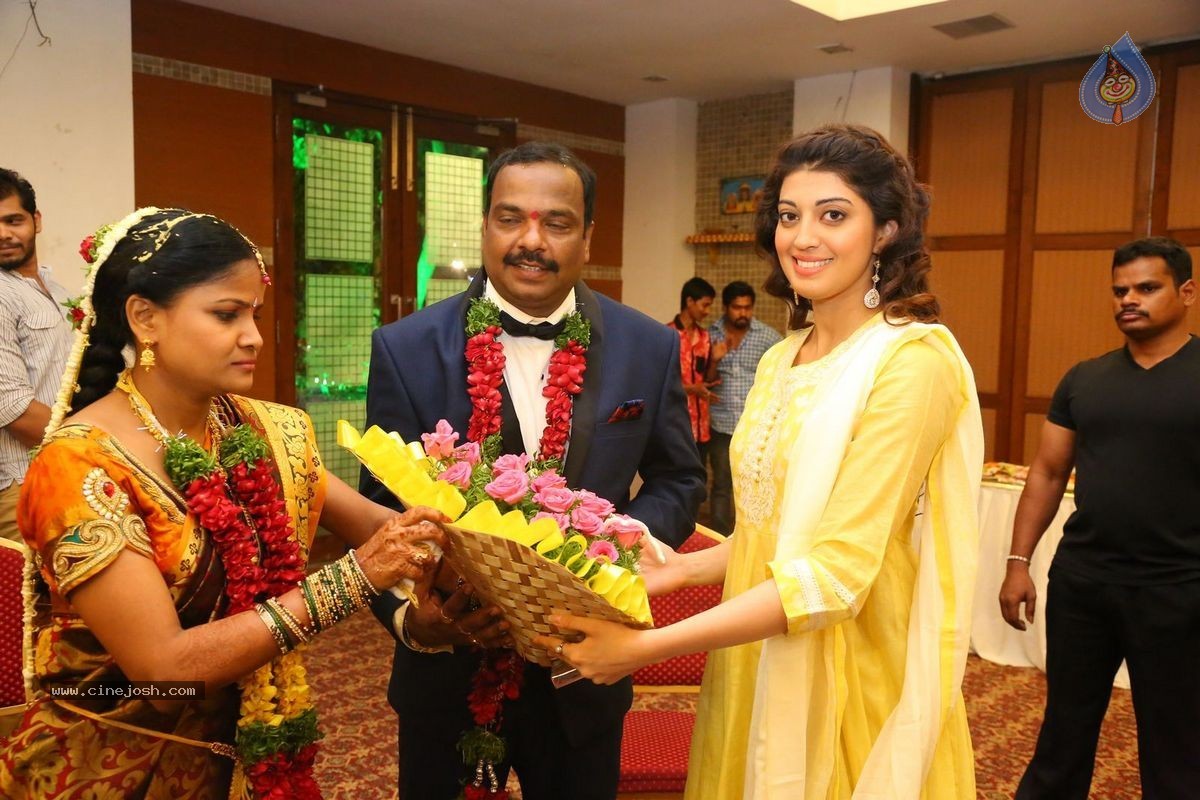 Harinath - Krishnaveni Wedding Reception - 8 / 151 photos