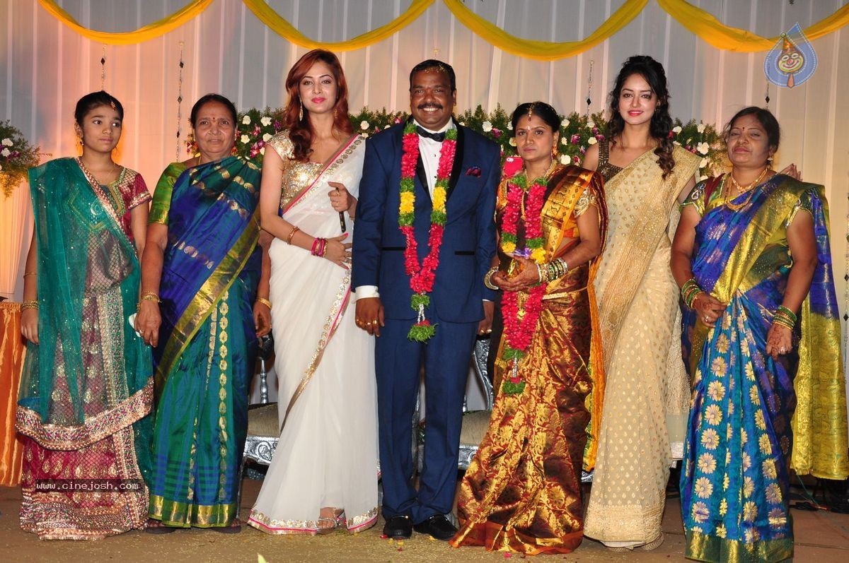 Harinath - Krishnaveni Wedding Reception - 9 / 151 photos