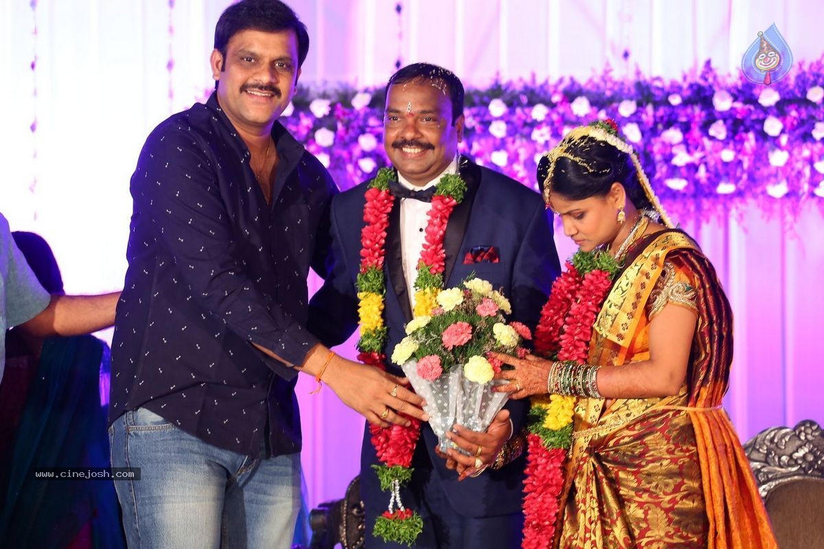 Harinath - Krishnaveni Wedding Reception - 10 / 151 photos