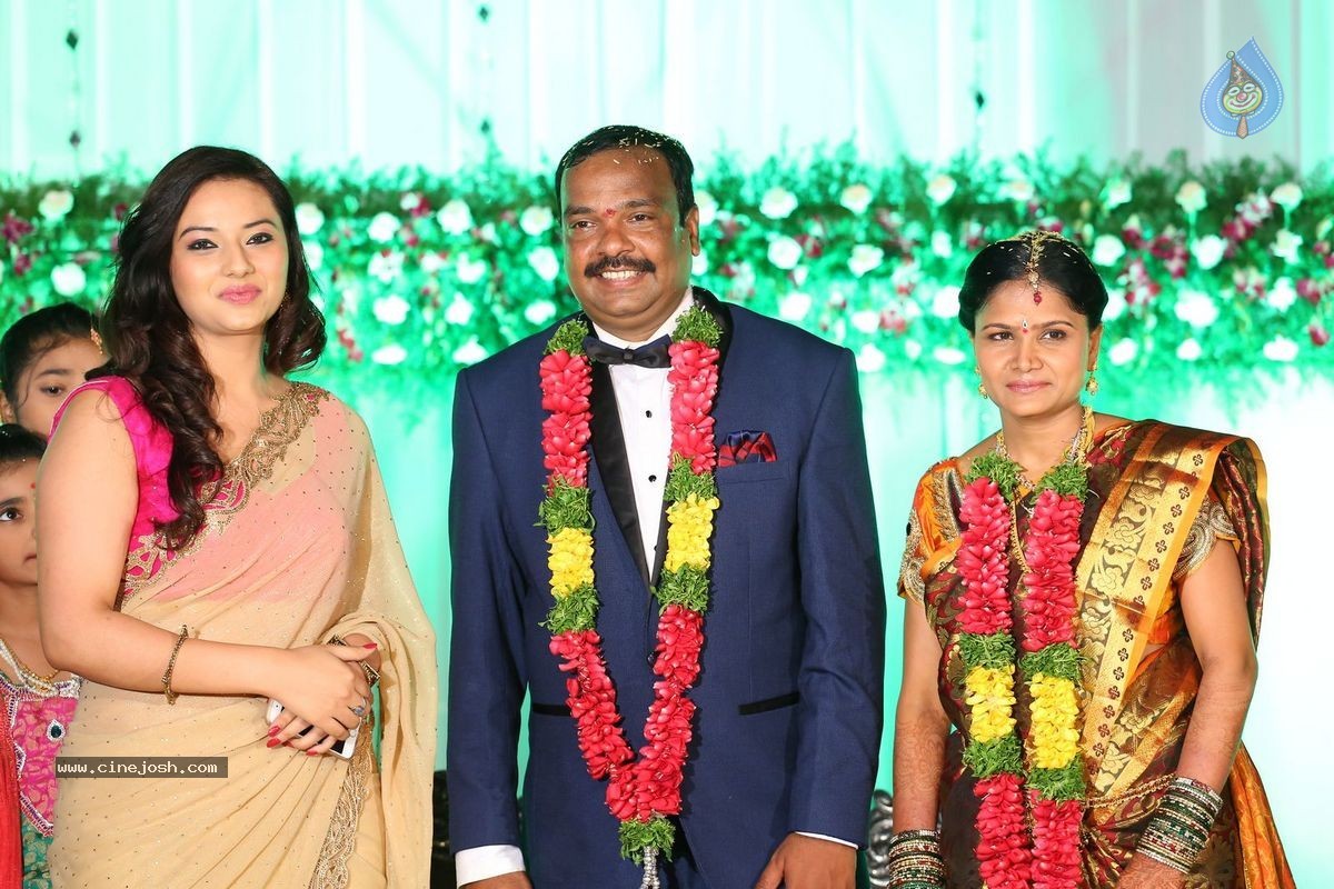 Harinath - Krishnaveni Wedding Reception - 14 / 151 photos