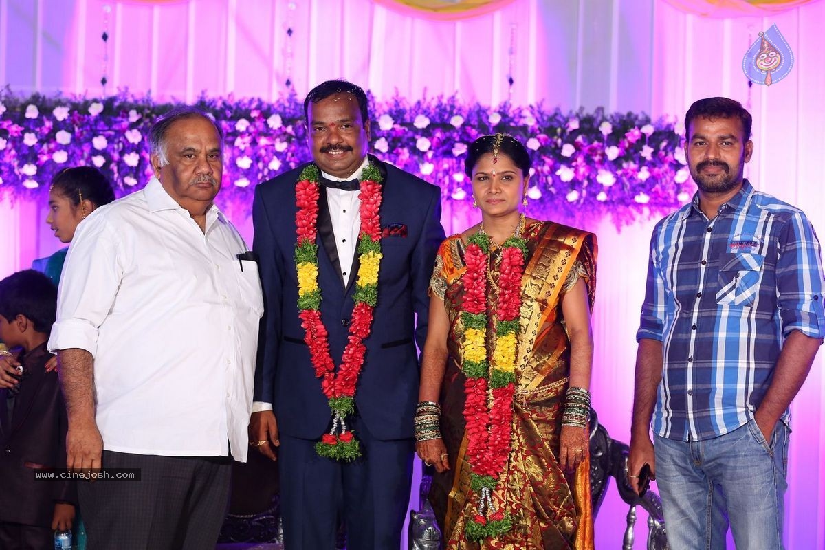 Harinath - Krishnaveni Wedding Reception - 15 / 151 photos