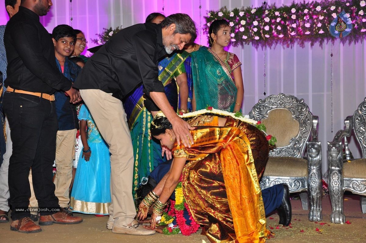 Harinath - Krishnaveni Wedding Reception - 20 / 151 photos