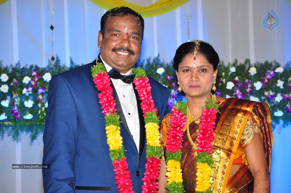 Harinath - Krishnaveni Wedding Reception - 21 / 151 photos
