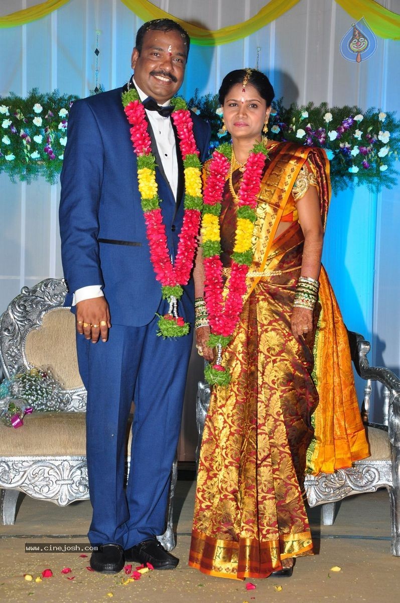 Harinath - Krishnaveni Wedding Reception - 26 / 151 photos