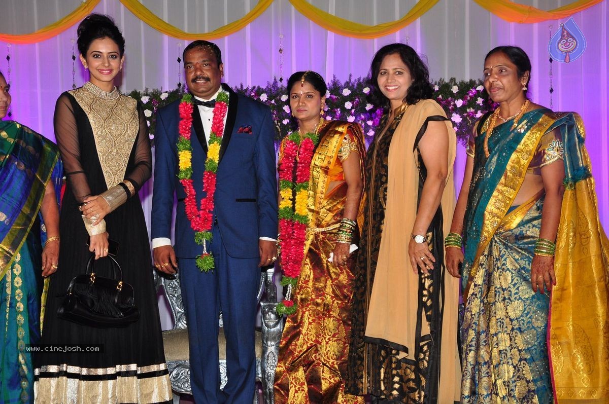 Harinath - Krishnaveni Wedding Reception - 29 / 151 photos