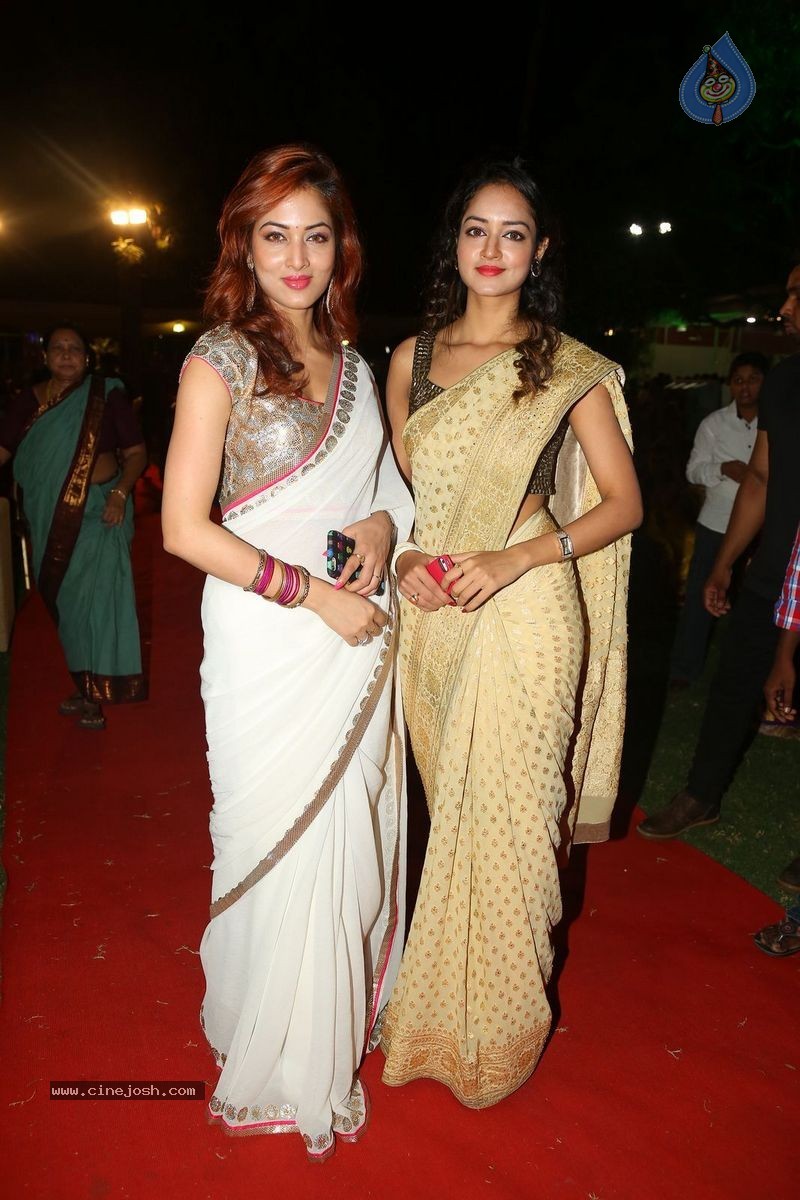 Harinath - Krishnaveni Wedding Reception - 30 / 151 photos