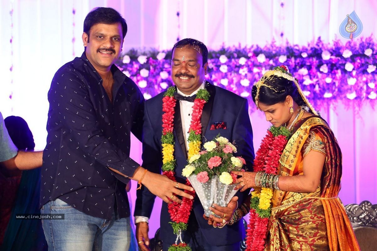 Harinath - Krishnaveni Wedding Reception - 33 / 151 photos