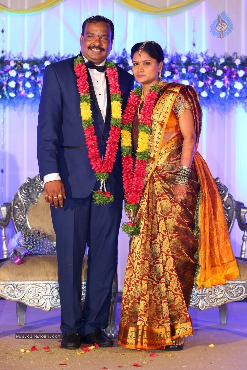 Harinath - Krishnaveni Wedding Reception - 41 / 151 photos