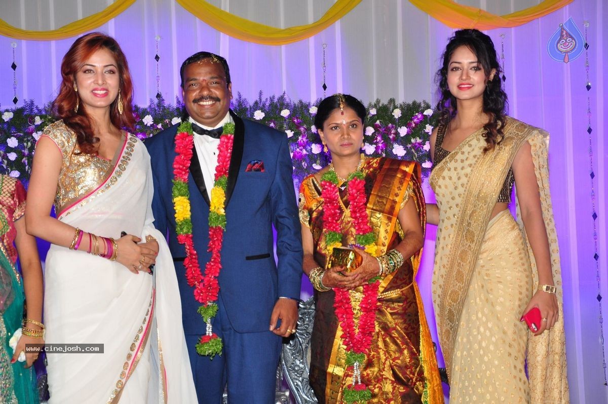 Harinath - Krishnaveni Wedding Reception - 44 / 151 photos