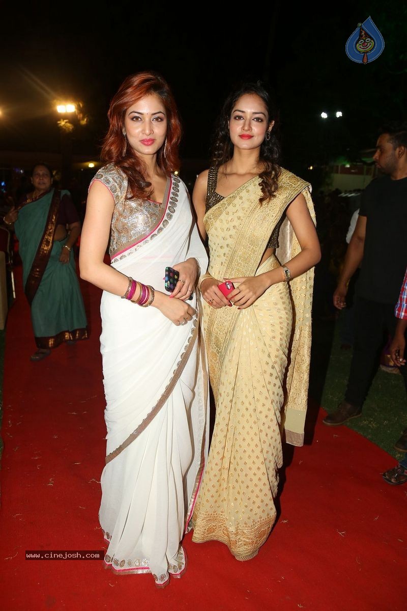 Harinath - Krishnaveni Wedding Reception - 52 / 151 photos