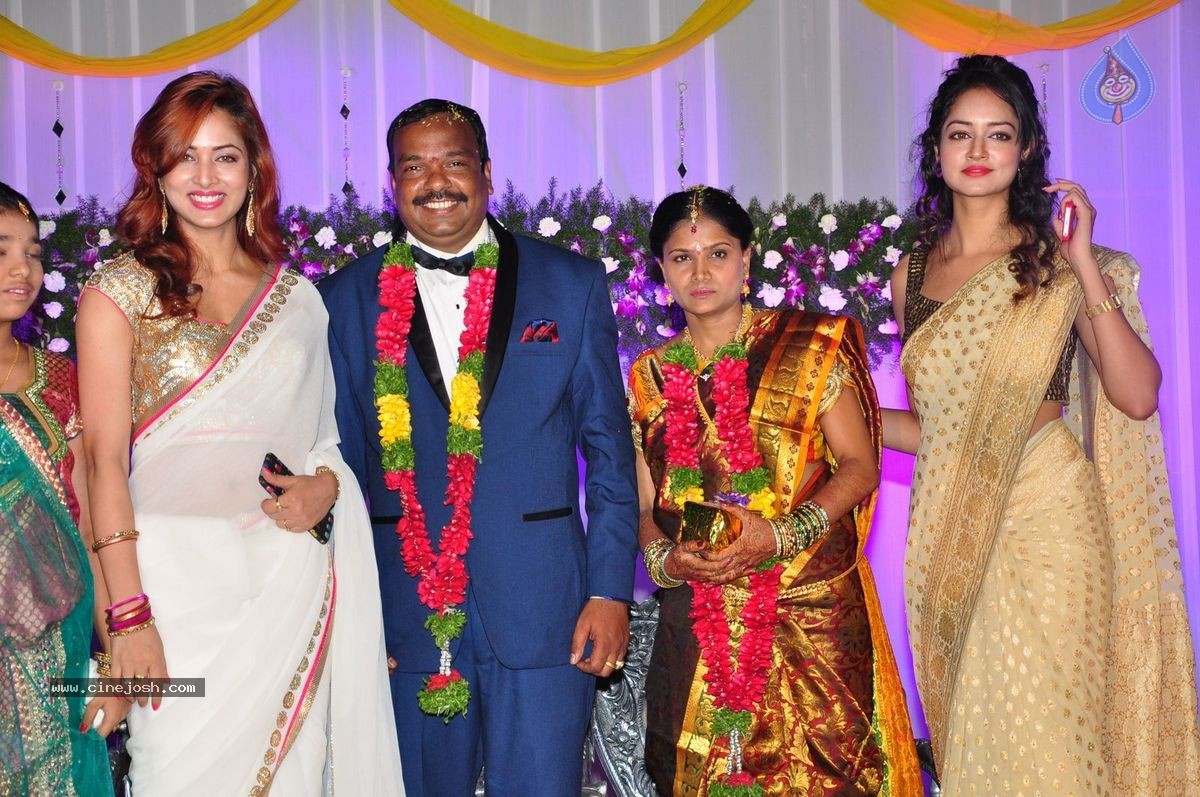 Harinath - Krishnaveni Wedding Reception - 53 / 151 photos