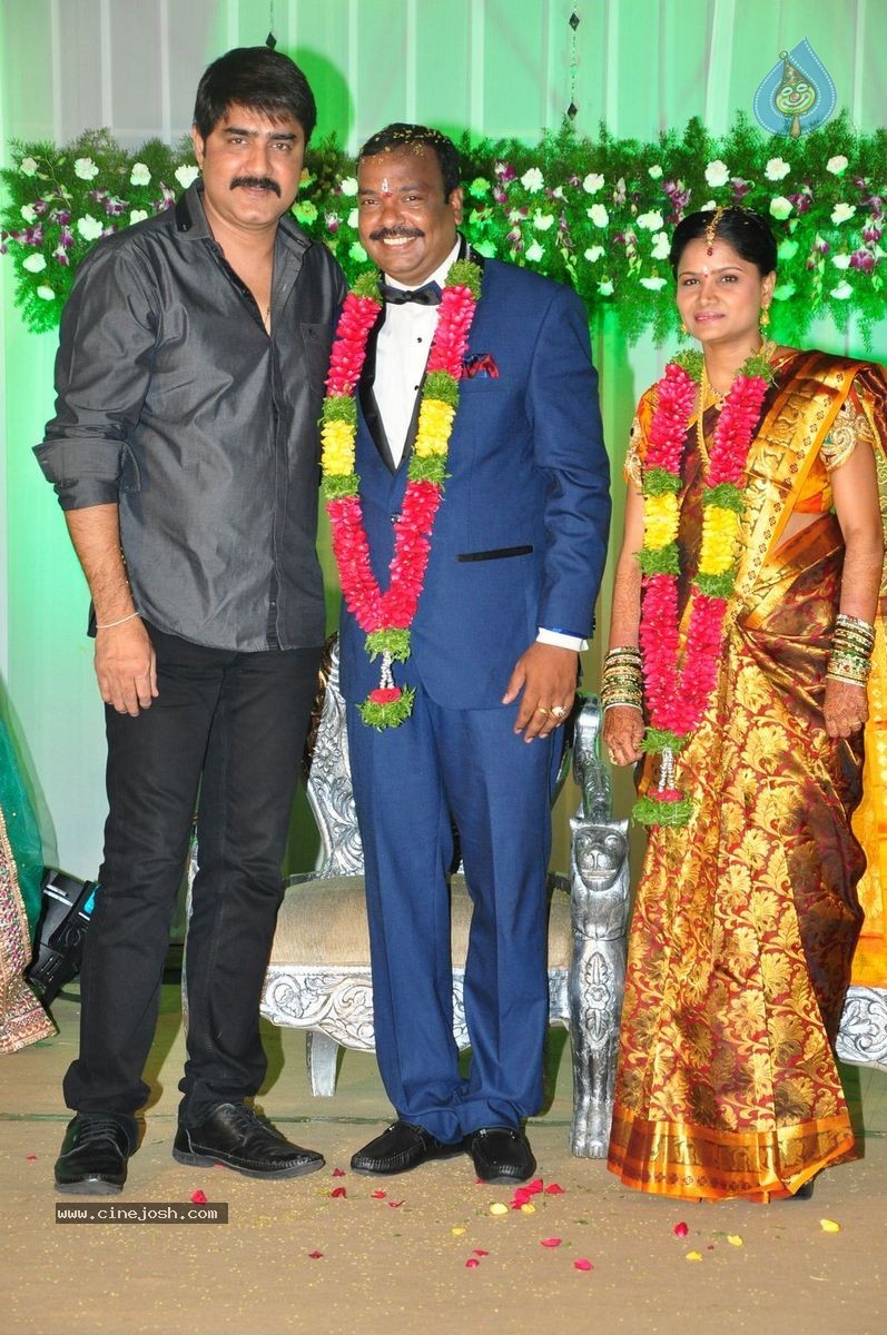 Harinath - Krishnaveni Wedding Reception - 87 / 151 photos