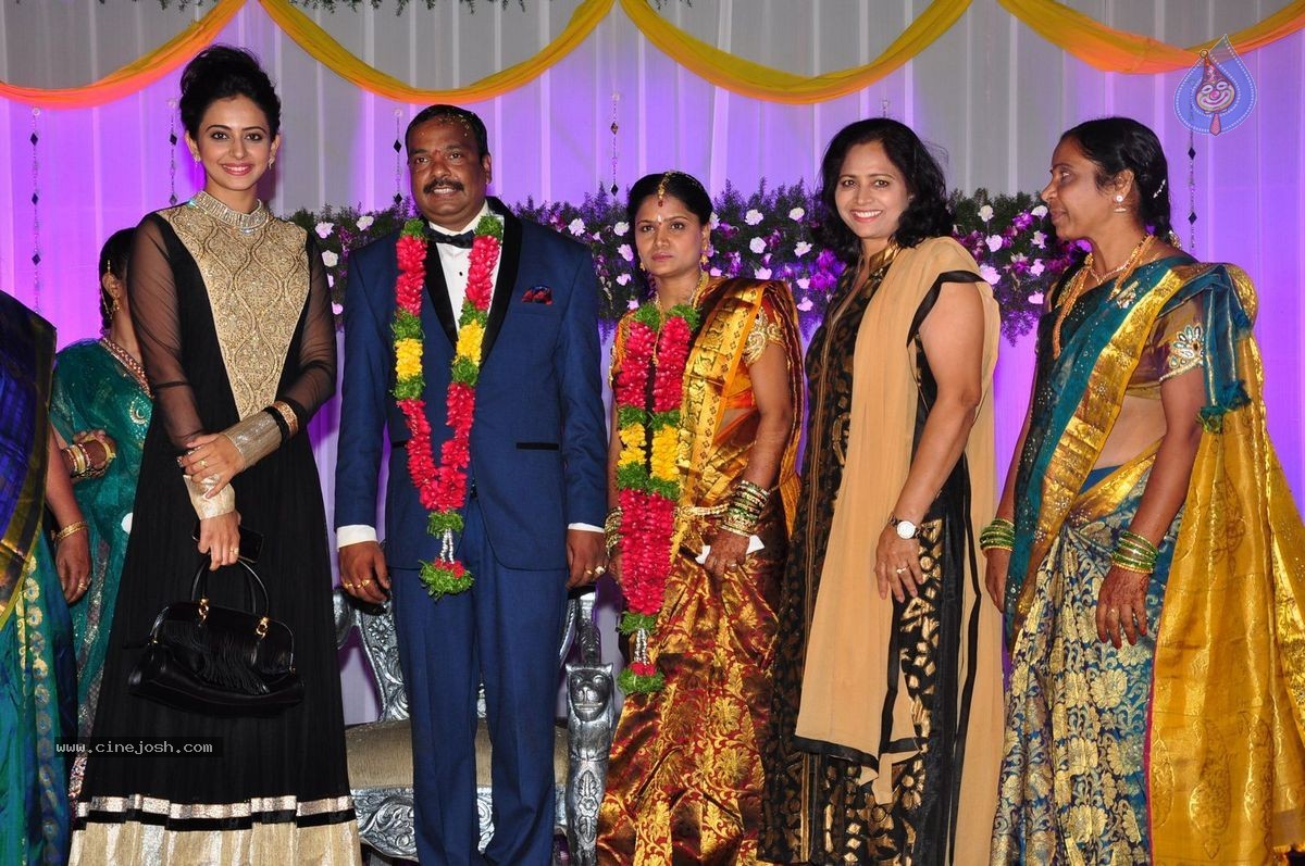 Harinath - Krishnaveni Wedding Reception - 90 / 151 photos