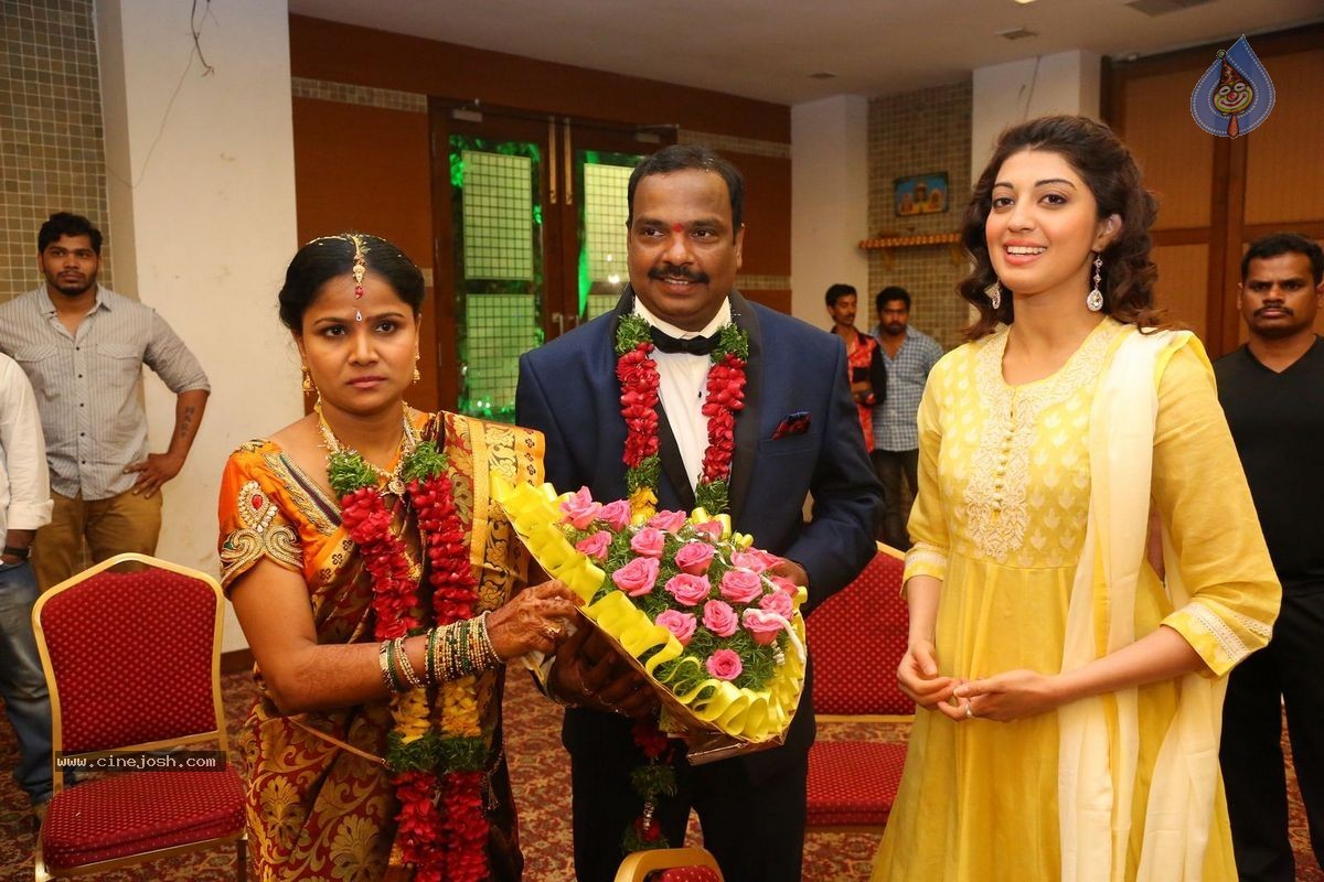 Harinath - Krishnaveni Wedding Reception - 98 / 151 photos