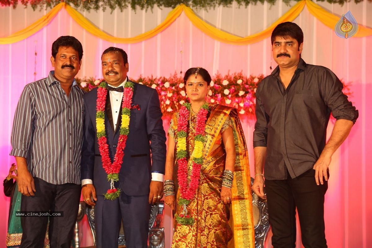 Harinath - Krishnaveni Wedding Reception - 145 / 151 photos