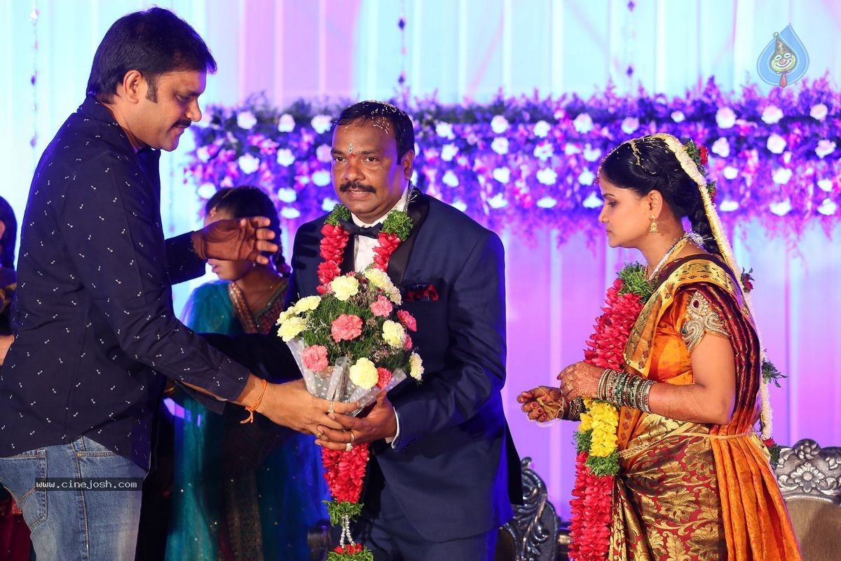 Harinath - Krishnaveni Wedding Reception - 148 / 151 photos