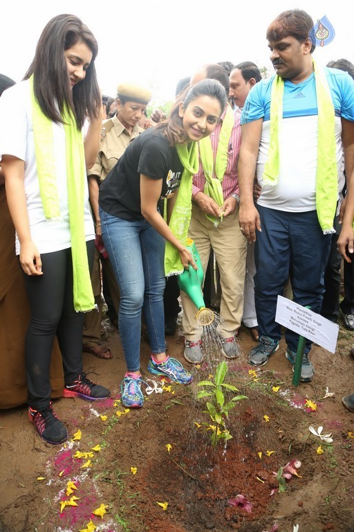 Haritha Haram Event at KBR Park - 63 / 102 photos