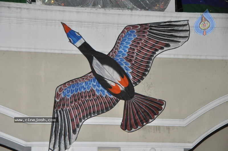 Hyderabad Kite Festival 2011 Photos - 71 / 103 photos