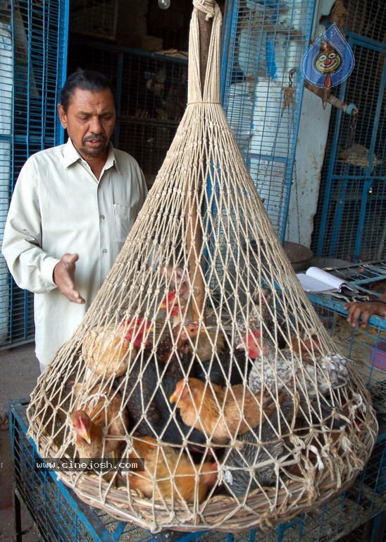 Hyderabad Old City Curfew Pics   - 14 / 102 photos