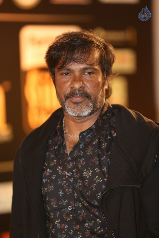 IIFA Utsavam 2016 Photos 1 - 91 / 110 photos