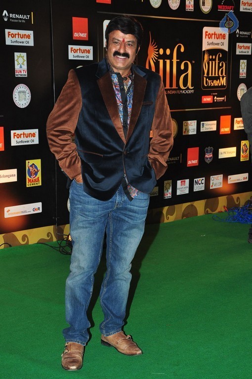 IIFA Utsavam 2016 Photos 3 - 43 / 58 photos