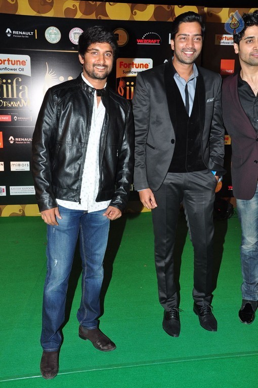 IIFA Utsavam 2016 Photos 3 - 48 / 58 photos