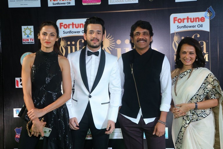 IIFA Utsavam 2017 Awards 1 (Day2) - 22 / 94 photos