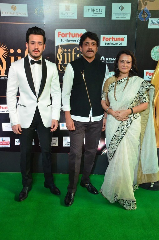 IIFA Utsavam 2017 Awards 1 (Day2) - 37 / 94 photos