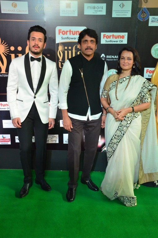 IIFA Utsavam 2017 Awards 1 (Day2) - 38 / 94 photos
