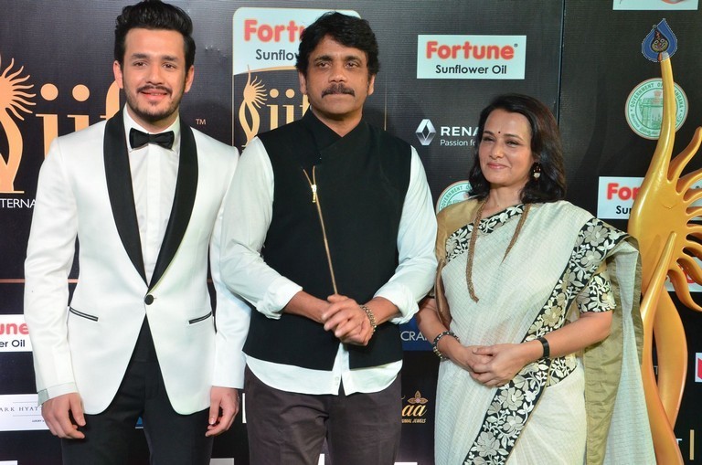 IIFA Utsavam 2017 Awards 1 (Day2) - 59 / 94 photos