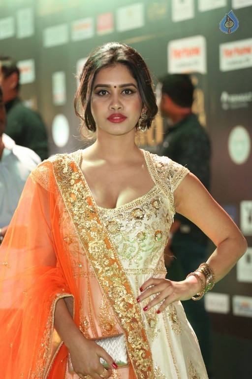 IIFA Utsavam 2017 Awards 2 (Day1) - 47 / 112 photos