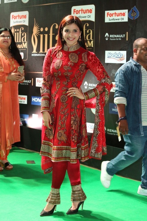 IIFA Utsavam 2017 Awards 2 (Day2) - 9 / 125 photos