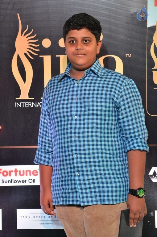 IIFA Utsavam 2017 Awards 2 (Day2) - 37 / 125 photos