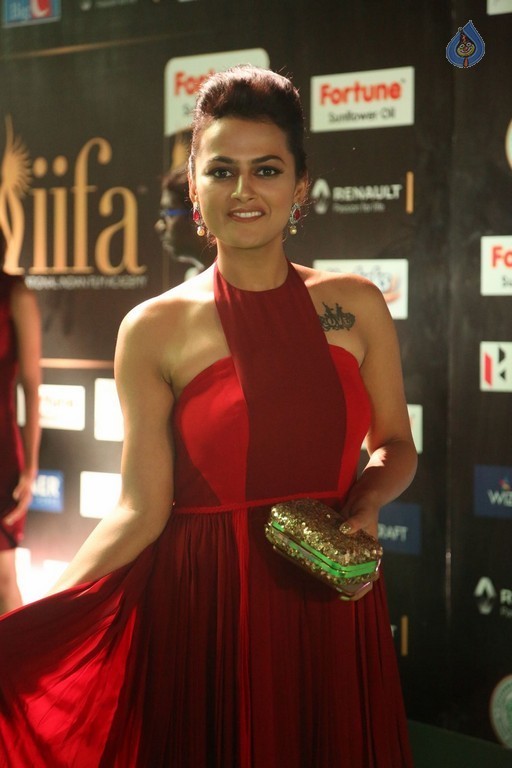 IIFA Utsavam 2017 Awards 2 (Day2) - 61 / 125 photos