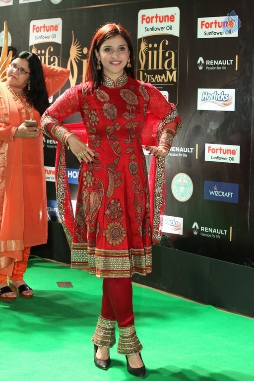 IIFA Utsavam 2017 Awards 2 (Day2) - 92 / 125 photos