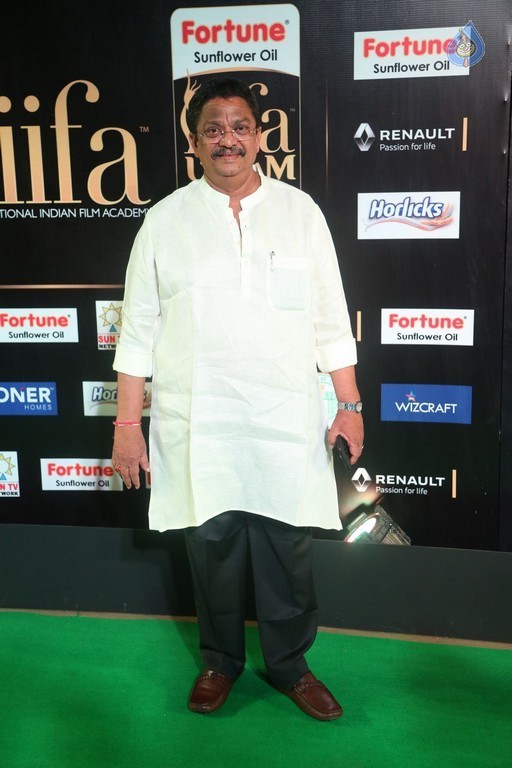 IIFA Utsavam 2017 Awards 2 (Day2) - 120 / 125 photos