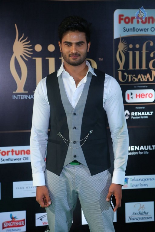 IIFA Utsavam 2017 Awards 3 (Day2) - 30 / 64 photos