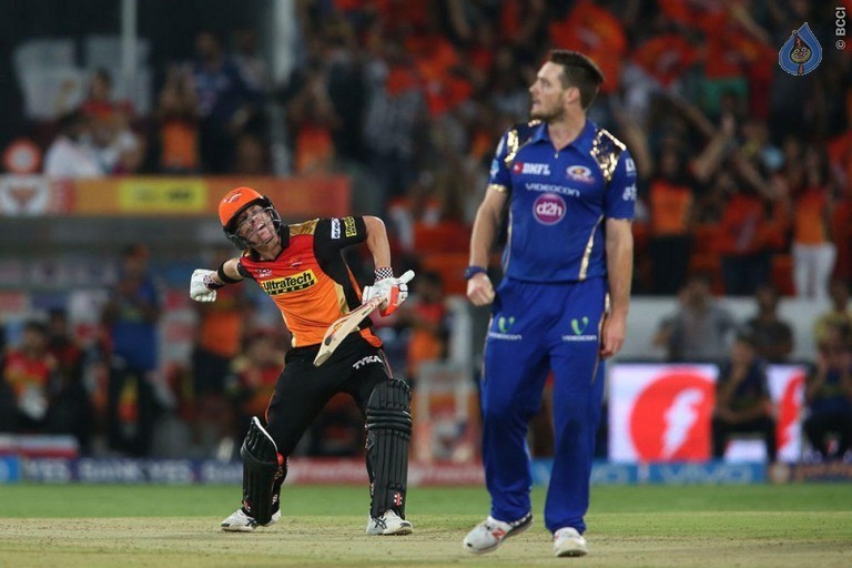 IPL T20 Sunrisers Hyderabad Match Photos - 13 / 37 photos