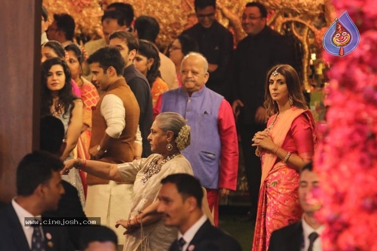 Isha Ambani and Anand Piramal Wedding Photos - 9 / 19 photos