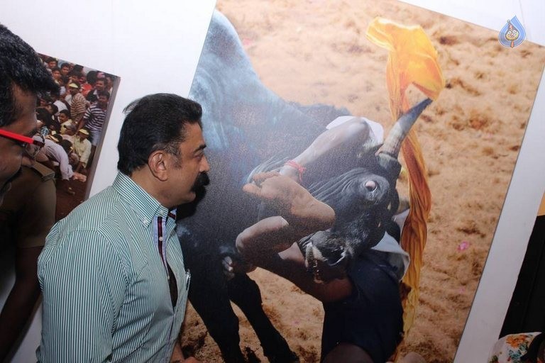Jallikattu Photo Exhibition Opening - 9 / 23 photos
