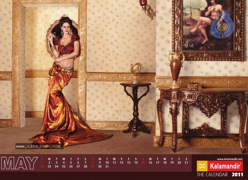 Kalamandir The Calendar 2011 - 4 / 13 photos