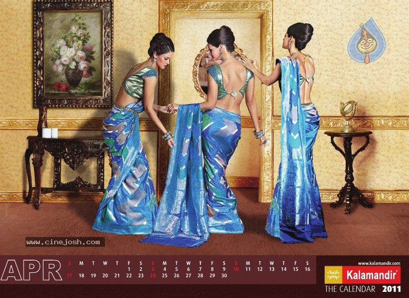 Kalamandir The Calendar 2011 - 9 / 13 photos