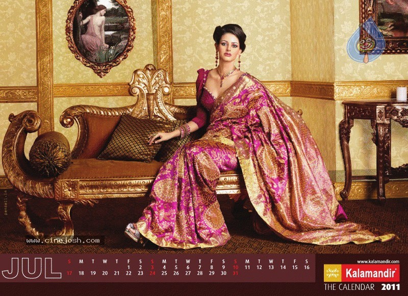 Kalamandir The Calendar 2011 - 11 / 13 photos